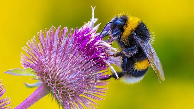 ESTORIL – GARA&nbsp;2